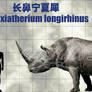 Ningxiatherium longirhinus