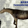 Paraceratherium grangeri