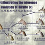 evolution of Giraffe