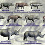 Rhinocerotidae of China