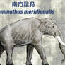 Mammuthus meridionalis