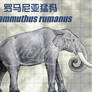 Mammuthus rumanus