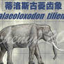Palaeoloxodon  tiliensis
