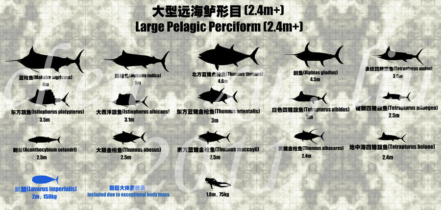 Pelagic Fish 1: Large Pelagic Perciforms by sinammonite on DeviantArt
