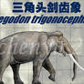 Stegodon trigonocephalus