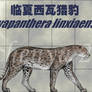 Sivapanthera linxiaensis