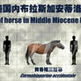combination of Horse-1