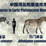 combination of Horse-2