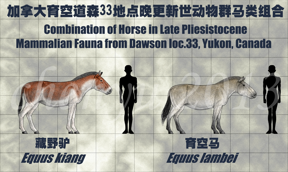 combination of Horse-3