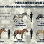 combination of Horse-4
