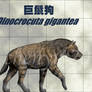 Dinocrocuta gigantea