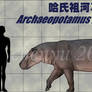 Archaeopotamus harvardi
