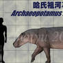 Archaeopotamus harvardi