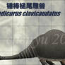 Doedicurus clavicaudatus