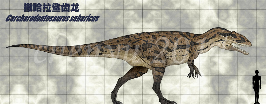 Carcharodontosaurus saharicus