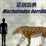 Machairodus horribilis