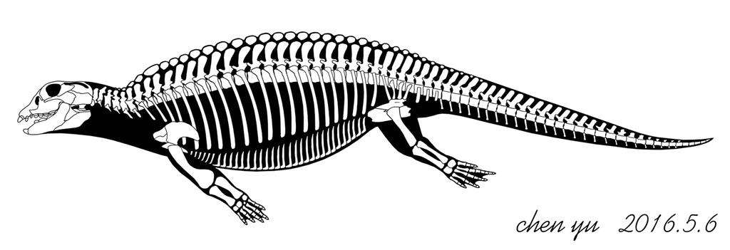 Placodus gigas by sinammonite on DeviantArt