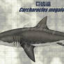 Carcharocles megalodon