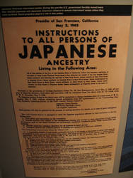 Japanese Ancestry