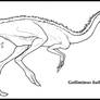 Gallimimus bullatus