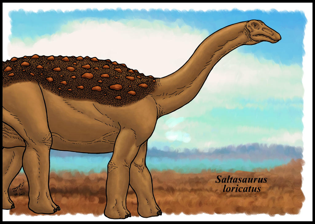 Saltasaurus Tooth Saltasaurus by zakafreakarama on DeviantArt