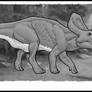 Zuniceratops