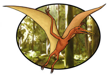 Pterodactylus T-shirt design