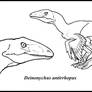 Deinonychus antirrhopus