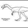 Masiakasaurus knopfleri