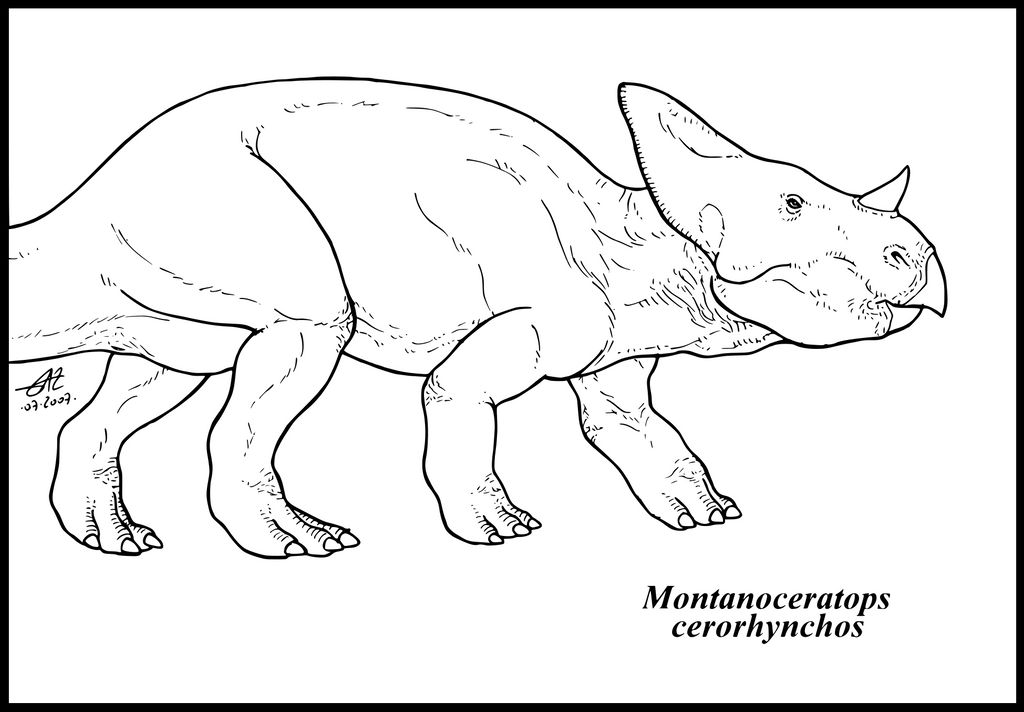 Montanoceratops cerorhynchos