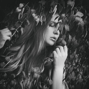Tree Whisper