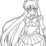 sailor Venus Blank