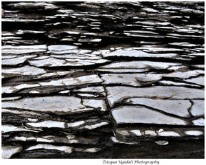 Shale Rocks Art Explore the Best Shale Art | DeviantArt