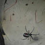 black widow spider on web