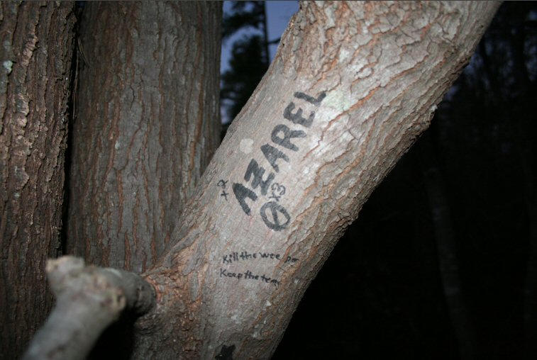 Azarel by SidraX on DeviantArt