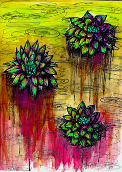 Water Lilies on Acid 2