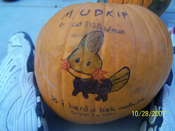 Mudkip Pumpkin