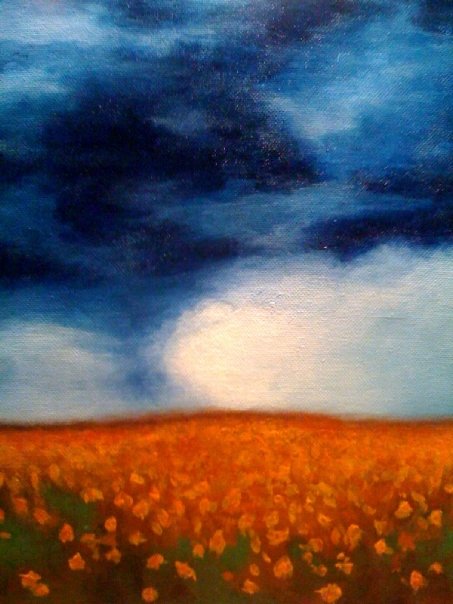 'Storm Over Poppy Field'