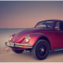 VW Beetle 03