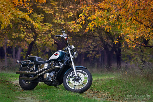 Honda VT 1100 SC23 Shadow 01