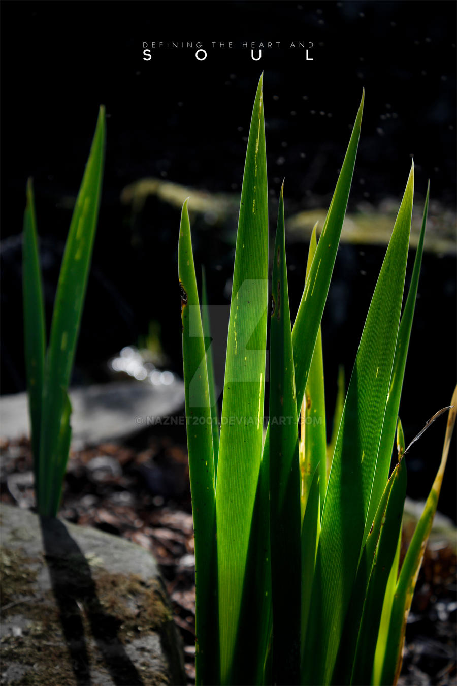 Green Glow