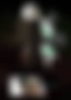 the slasher 1/?