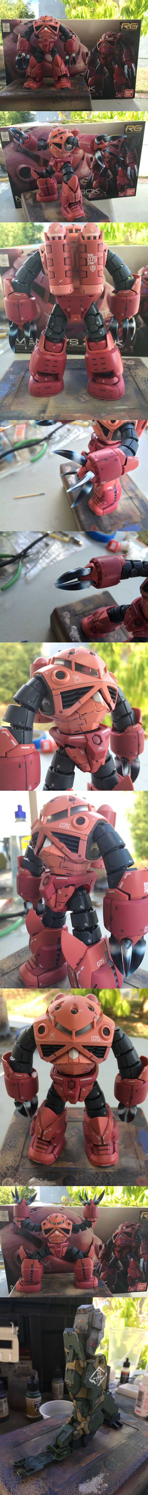 RG ZGok