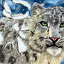 snow lepard