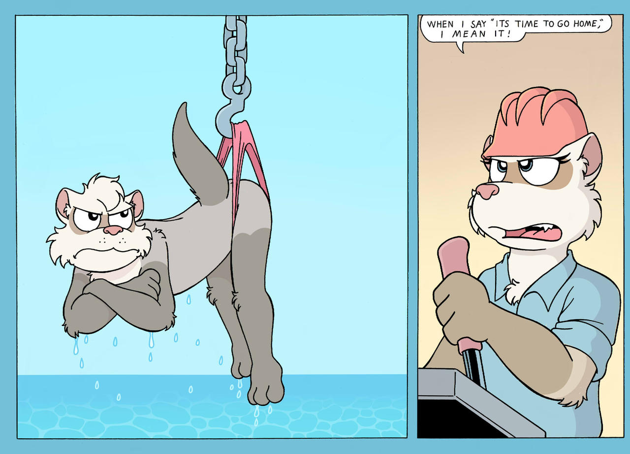 Bumpy Ferret Grumpy ferret 2 by sprucehammer on DeviantArt