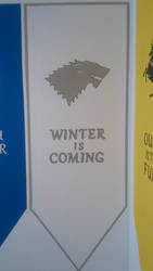 GoT Banners Wall Painting 7