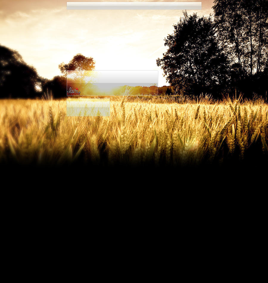 Wheat Field YouTube BG