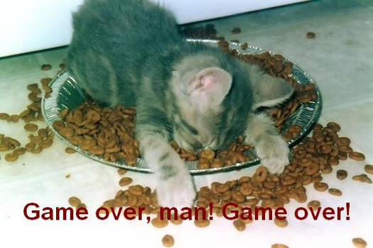 Game over, man Game over CAT