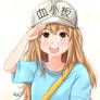 Platelets