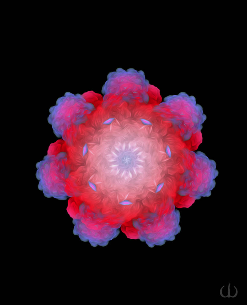 Mathematical flower by primordialsea on DeviantArt